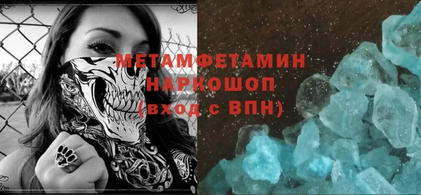 прущие грибы Рославль