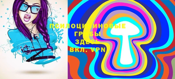 прущие грибы Рославль